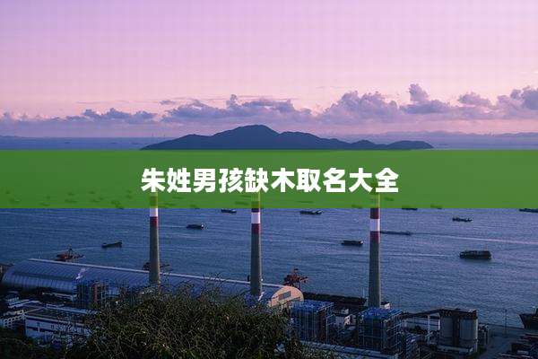 朱姓男孩缺木取名大全