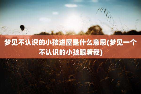 梦见不认识的小孩进屋是什么意思(梦见一个不认识的小孩跟着我)