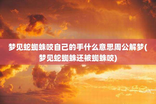 梦见蛇蜘蛛咬自己的手什么意思周公解梦(梦见蛇蜘蛛还被蜘蛛咬)