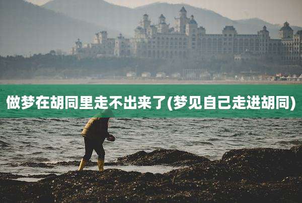 做梦在胡同里走不出来了(梦见自己走进胡同)