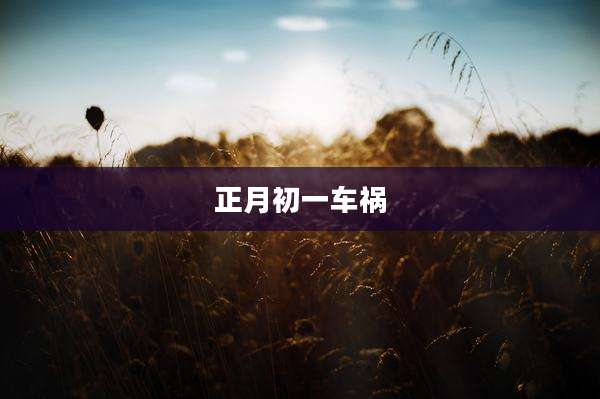 正月初一车祸