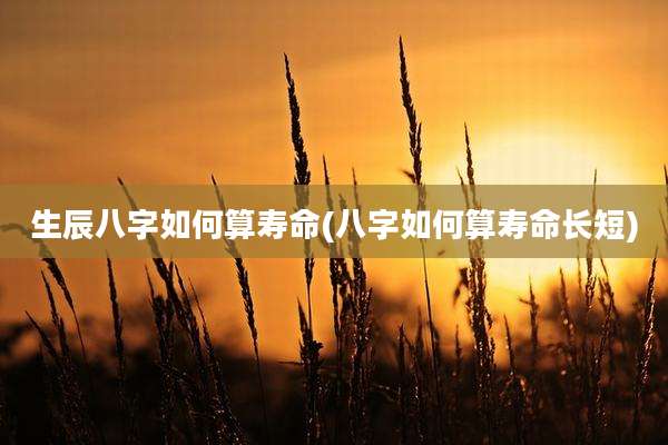 生辰八字如何算寿命(八字如何算寿命长短)