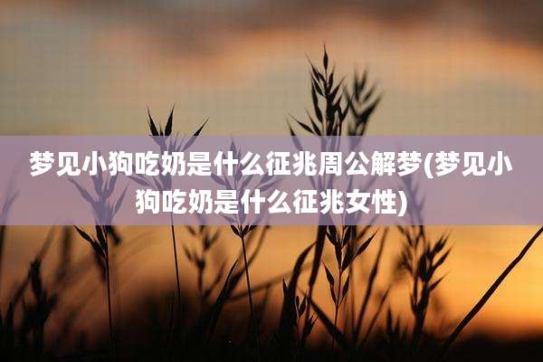 梦见小狗吃奶是什么征兆周公解梦(梦见小狗吃奶是什么征兆女性)