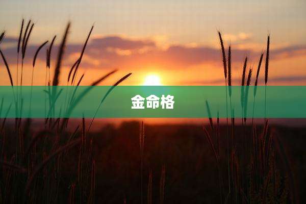 金命格
