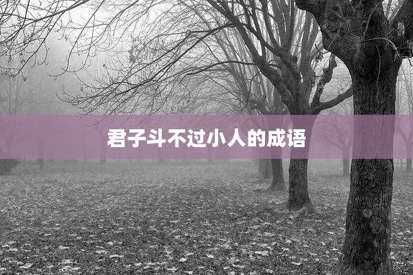 君子斗不过小人的成语