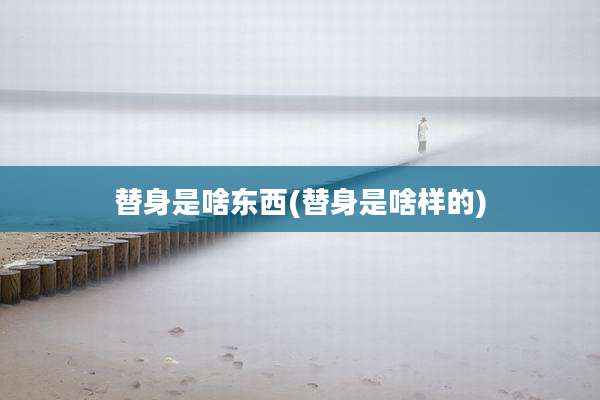 替身是啥东西(替身是啥样的)