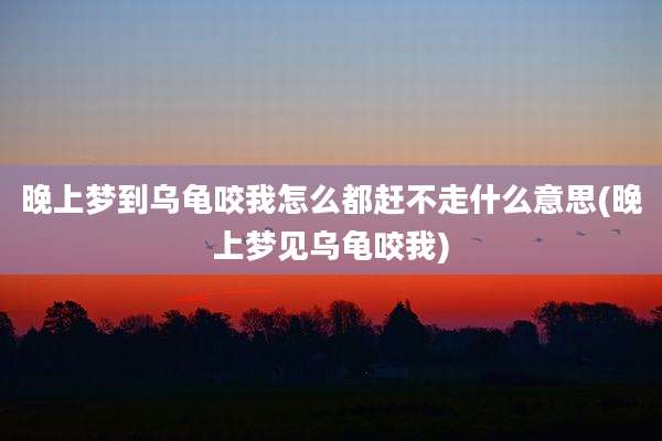 晚上梦到乌龟咬我怎么都赶不走什么意思(晚上梦见乌龟咬我)
