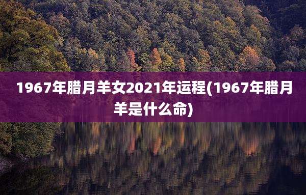 1967年腊月羊女2021年运程(1967年腊月羊是什么命)