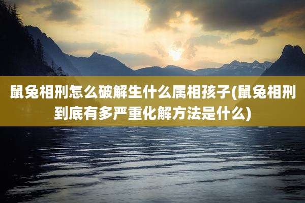 鼠兔相刑怎么破解生什么属相孩子(鼠兔相刑到底有多严重化解方法是什么)