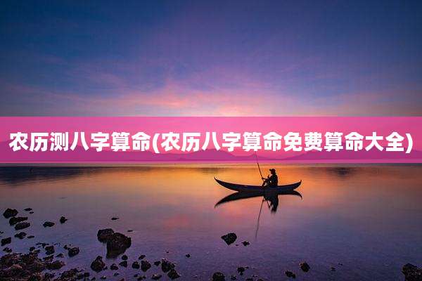 农历测八字算命(农历八字算命免费算命大全)