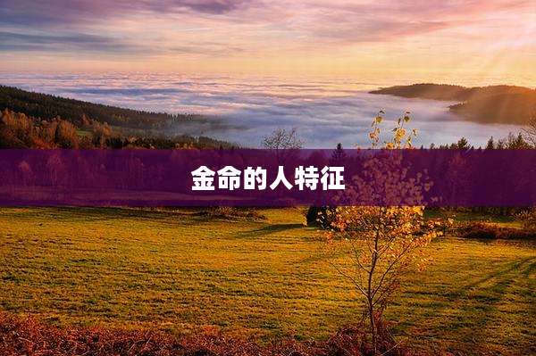 金命的人特征