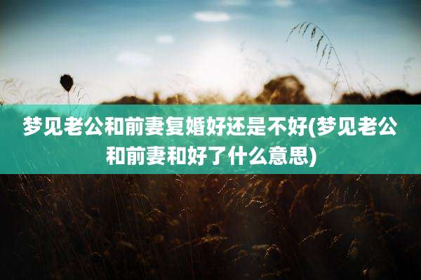 梦见老公和前妻复婚好还是不好(梦见老公和前妻和好了什么意思)