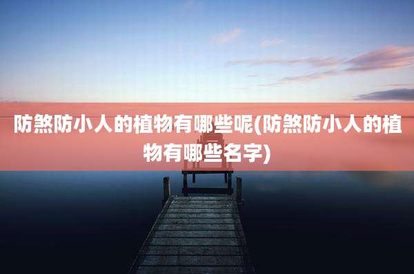 防煞防小人的植物有哪些呢(防煞防小人的植物有哪些名字)