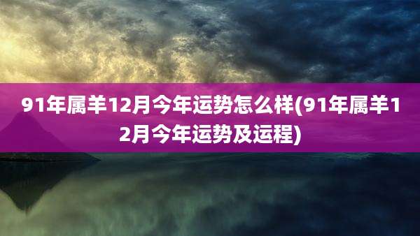 91年属羊12月今年运势怎么样(91年属羊12月今年运势及运程)