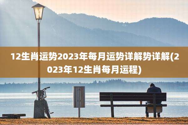 12生肖运势2023年每月运势详解势详解(2023年12生肖每月运程)