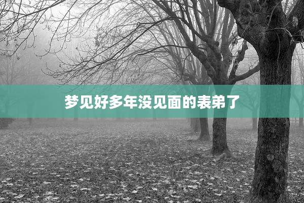 梦见好多年没见面的表弟了