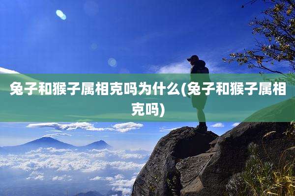 兔子和猴子属相克吗为什么(兔子和猴子属相克吗)