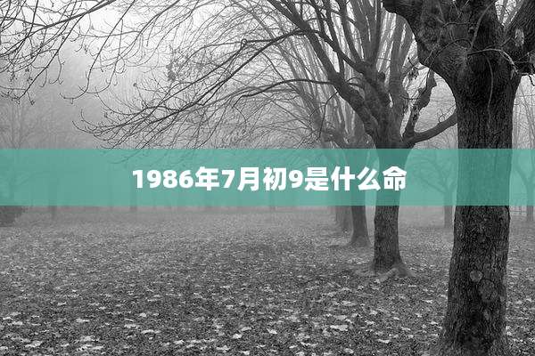 1986年7月初9是什么命