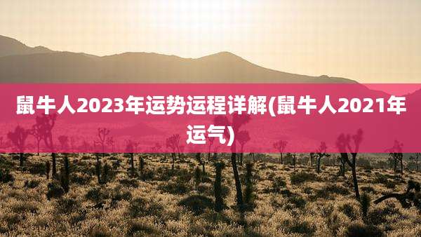 鼠牛人2023年运势运程详解(鼠牛人2021年运气)