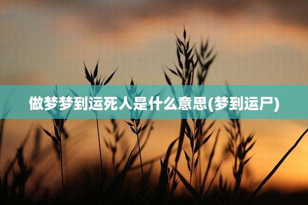 做梦梦到运死人是什么意思(梦到运尸)