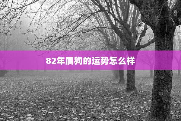 82年属狗的运势怎么样