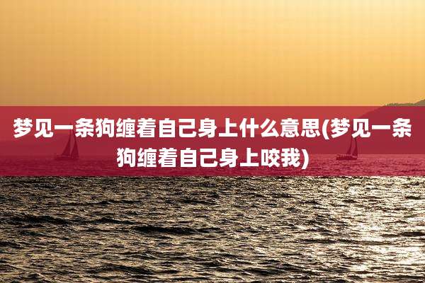 梦见一条狗缠着自己身上什么意思(梦见一条狗缠着自己身上咬我)