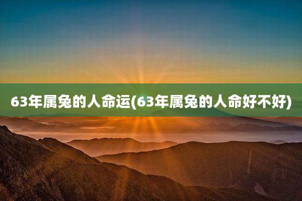 63年属兔的人命运(63年属兔的人命好不好)