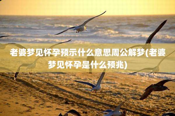 老婆梦见怀孕预示什么意思周公解梦(老婆梦见怀孕是什么预兆)