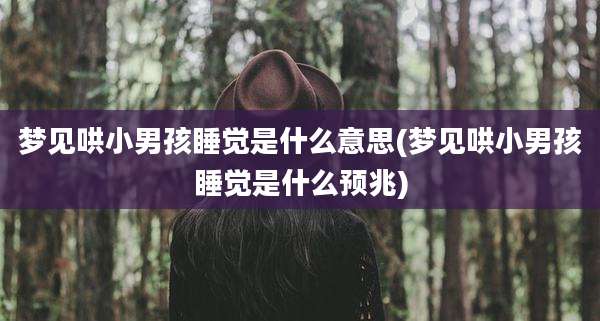 梦见哄小男孩睡觉是什么意思(梦见哄小男孩睡觉是什么预兆)