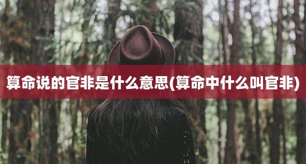 算命说的官非是什么意思(算命中什么叫官非)