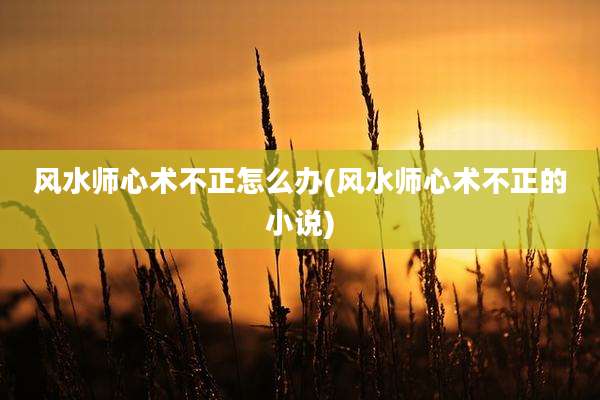 风水师心术不正怎么办(风水师心术不正的小说)