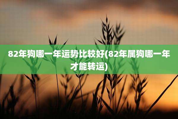 82年狗哪一年运势比较好(82年属狗哪一年才能转运)