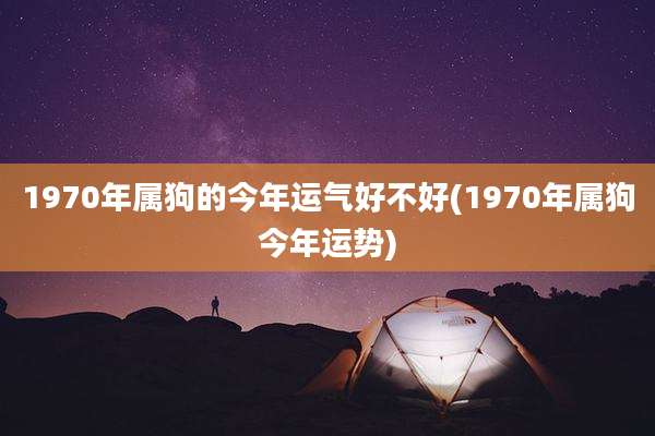 1970年属狗的今年运气好不好(1970年属狗今年运势)