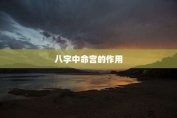 八字中命宫的作用