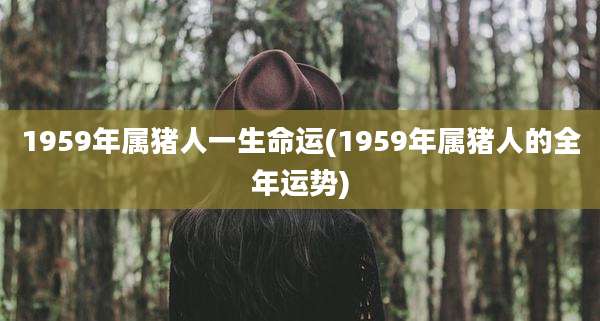1959年属猪人一生命运(1959年属猪人的全年运势)