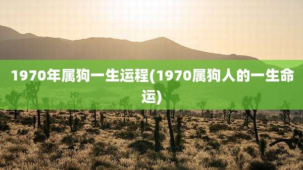 1970年属狗一生运程(1970属狗人的一生命运)