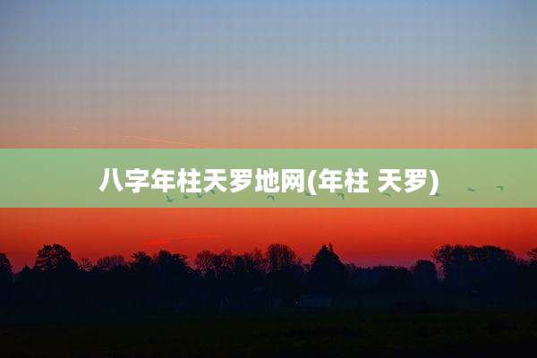 八字年柱天罗地网(年柱 天罗)