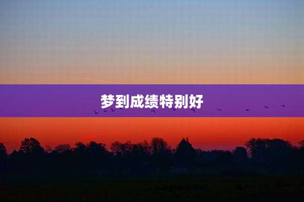 梦到成绩特别好