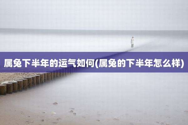 属兔下半年的运气如何(属兔的下半年怎么样)