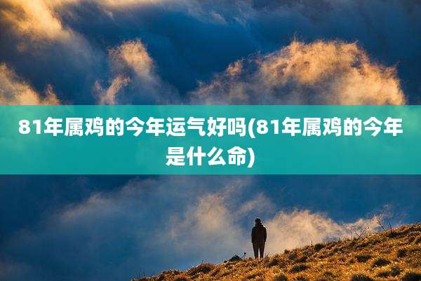 81年属鸡的今年运气好吗(81年属鸡的今年是什么命)