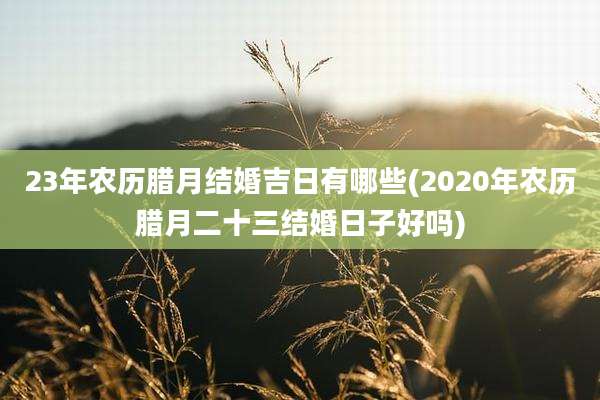 23年农历腊月结婚吉日有哪些(2020年农历腊月二十三结婚日子好吗)