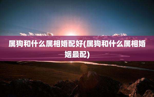 属狗和什么属相婚配好(属狗和什么属相婚姻最配)