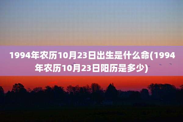 1994年农历10月23日出生是什么命(1994年农历10月23日阳历是多少)
