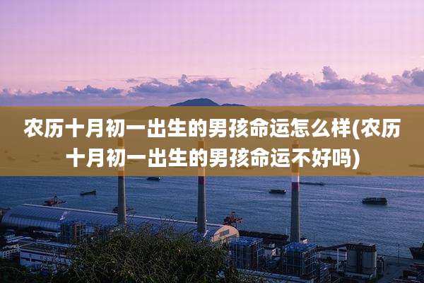 农历十月初一出生的男孩命运怎么样(农历十月初一出生的男孩命运不好吗)