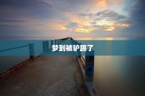 梦到被驴踢了