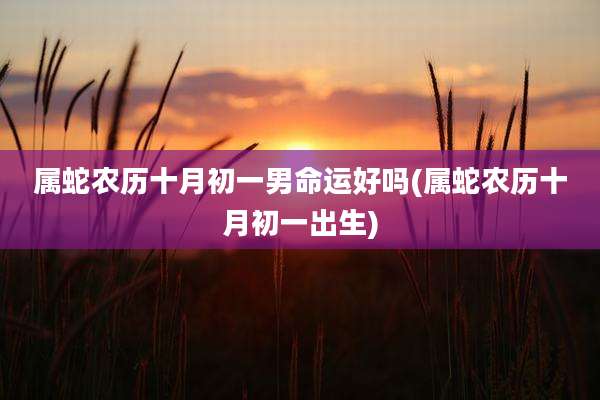 属蛇农历十月初一男命运好吗(属蛇农历十月初一出生)