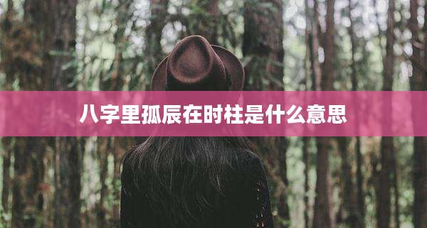 八字里孤辰在时柱是什么意思