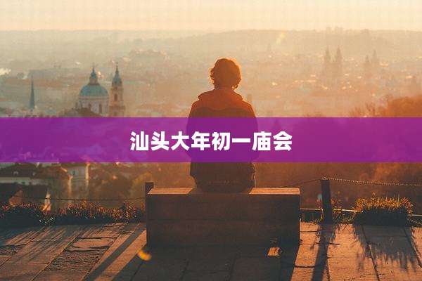 汕头大年初一庙会
