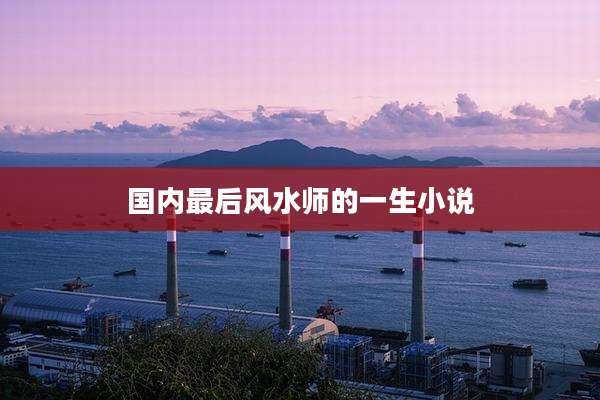 国内最后风水师的一生小说