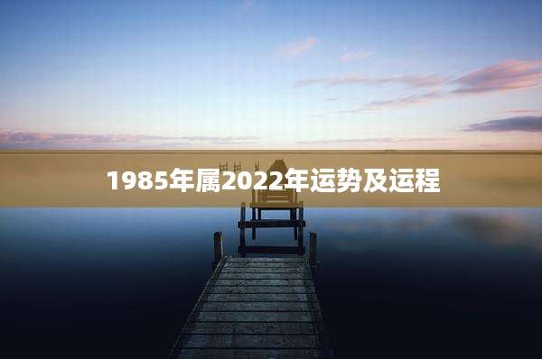 1985年属2022年运势及运程